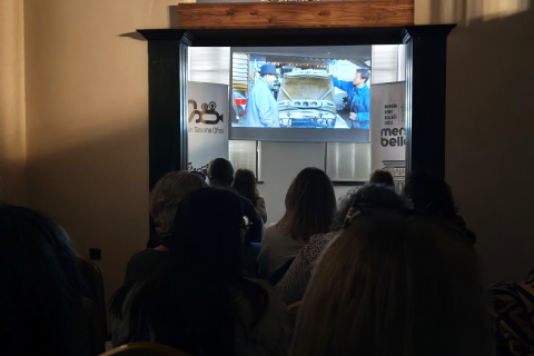 Frankofon Film Festivali, Mersin 2026