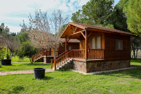 Accommodation